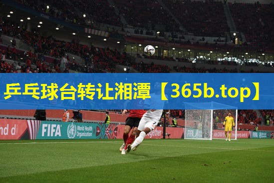 乒乓球台转让湘潭 乒乓球台转让湘潭