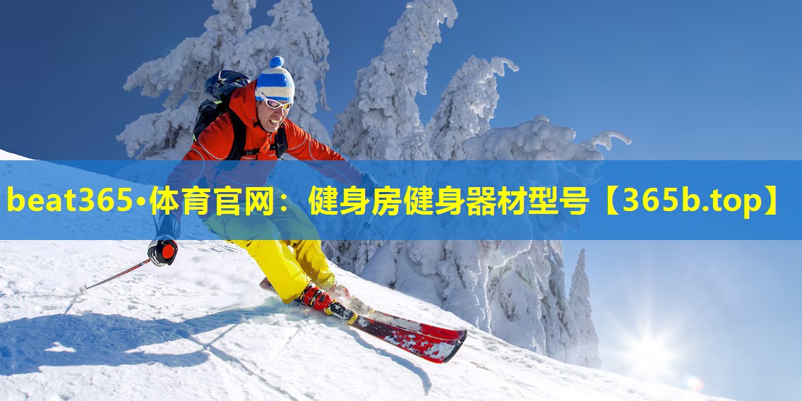 健身房健身器材型号