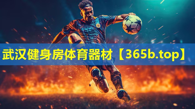 武汉健身房体育器材 武汉健身房体育器材