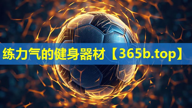 练力气的健身器材