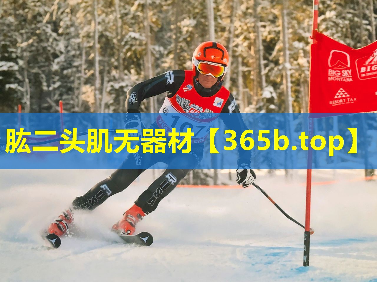 肱二头肌无器材 肱二头肌无器材