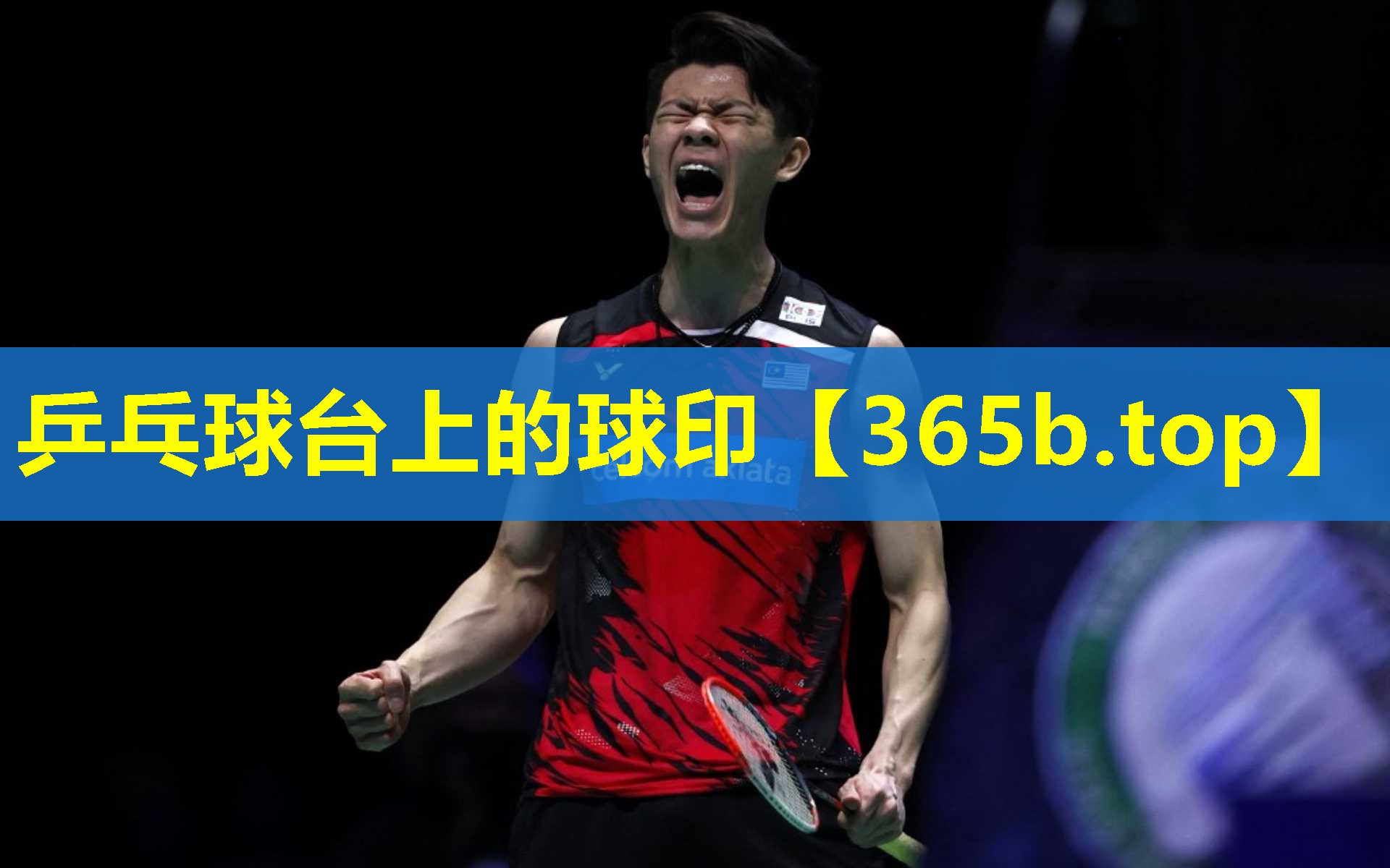 乒乓球台上的球印 乒乓球台上的球印