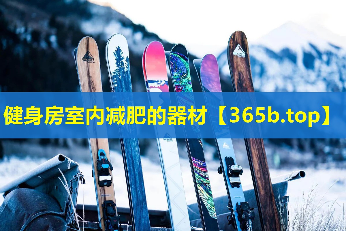 健身房室内减肥的器材 健身房室内减肥的器材