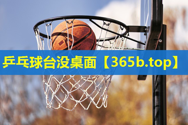 乒乓球台没桌面 乒乓球台没桌面