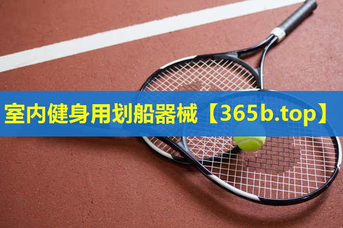 室内健身用划船器械 室内健身用划船器械