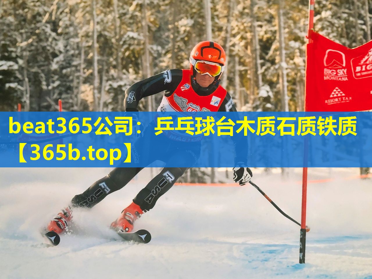 乒乓球台木质石质铁质 乒乓球台木质石质铁质