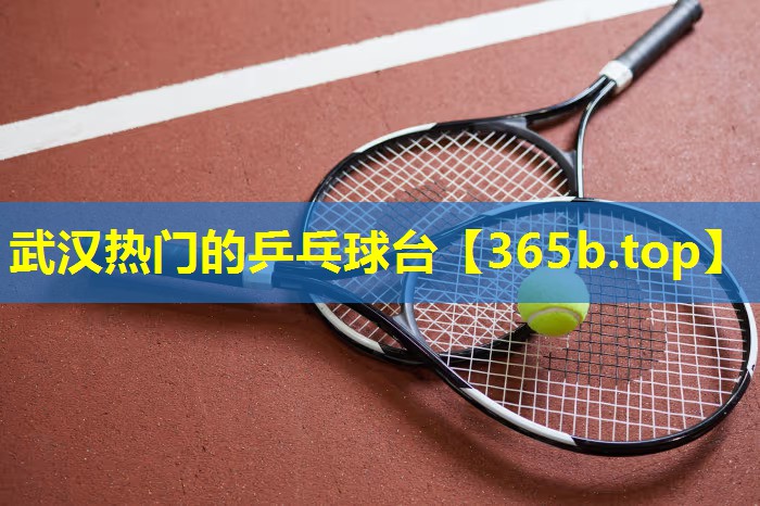 武汉热门的乒乓球台 武汉热门的乒乓球台