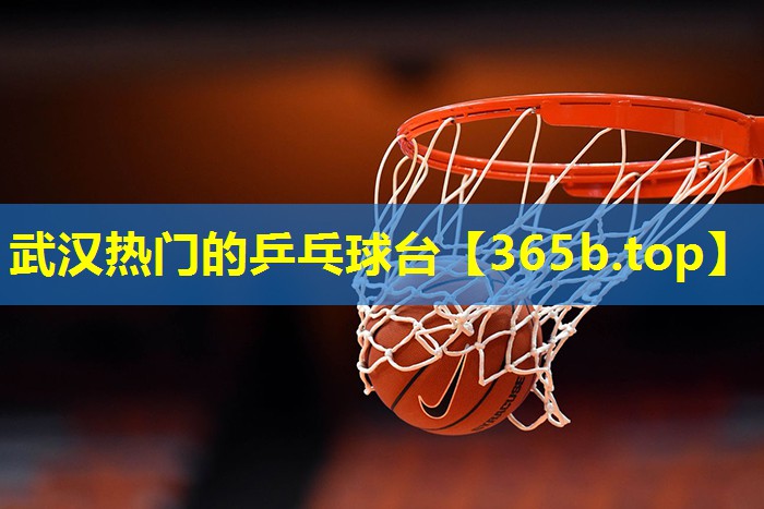 武汉热门的乒乓球台 武汉热门的乒乓球台