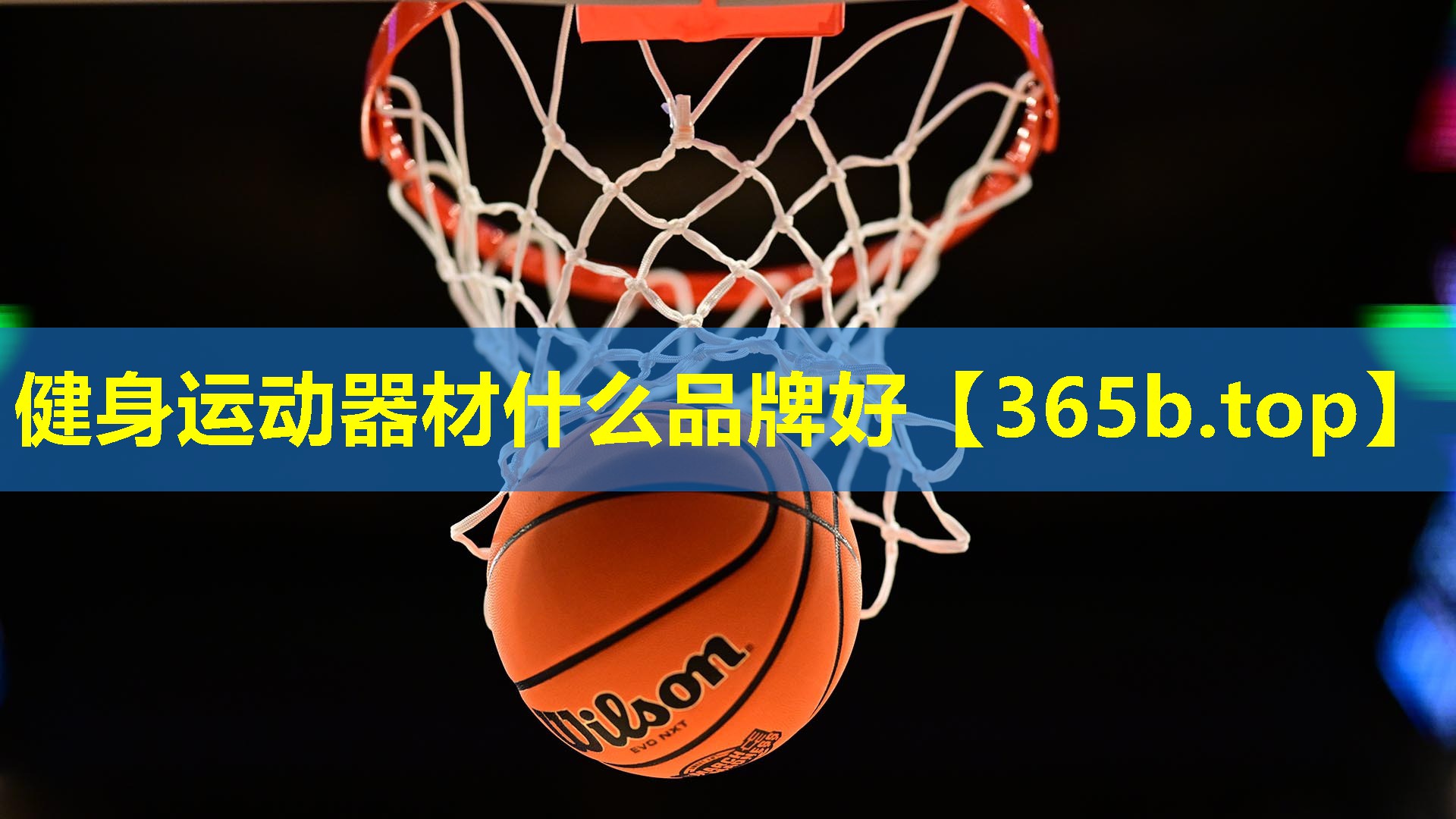 健身运动器材什么品牌好 健身运动器材什么品牌好